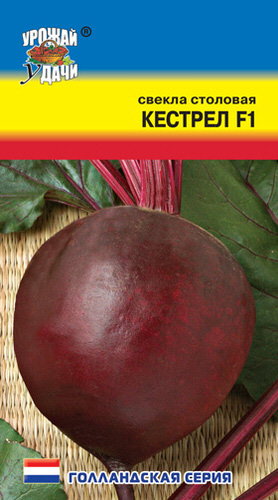 Свекла Кестрел 