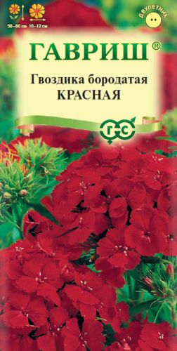 Гвоздика Красная турецкая