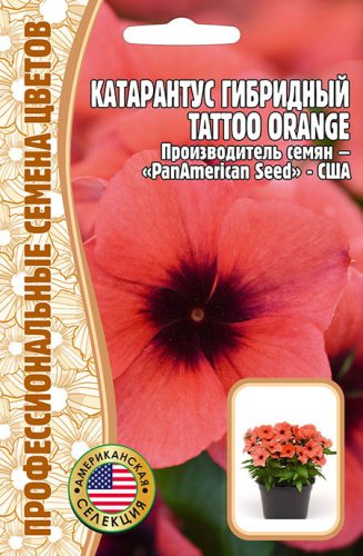Катарантус Тату F1 Орандж (Tattoo Orange)