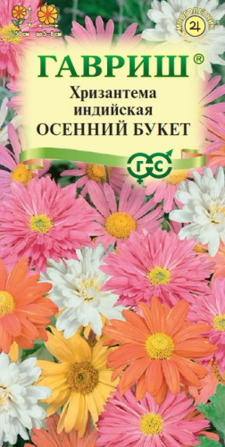 Хризантема Осенний букет индийская 