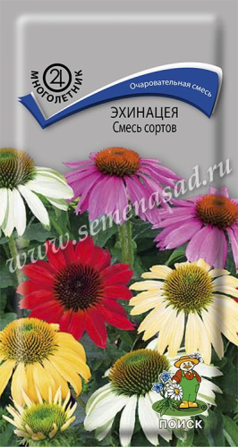 Эхинацея Смесь сортов