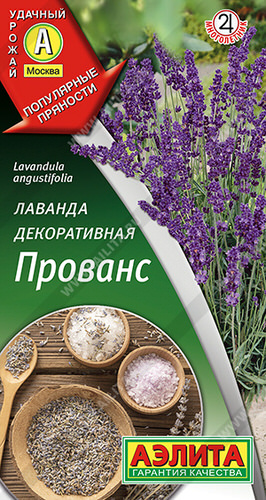 Лаванда Прованс декоративная 