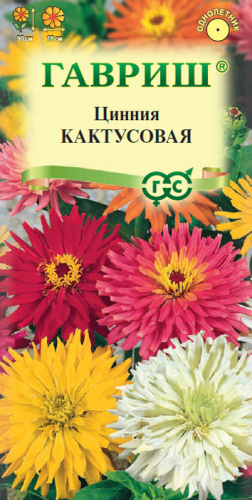 Цинния Кактусовая, смесь