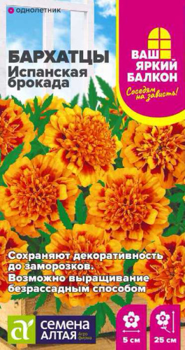 Бархатцы Испанская Брокада махровые