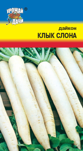 Редька Клык Слона китайская 