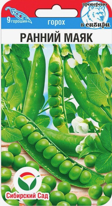 Горох Ранний Маяк