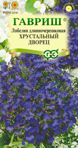 Лобелия Хрустальный дворец