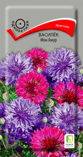 Василек Мон Амур