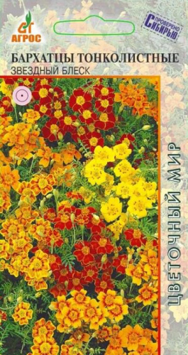 Бархатцы Звездный Блеск 
