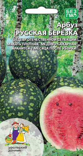 Арбуз Русская берёзка