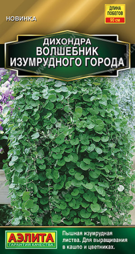 Дихондра Волшебник Изумрудного города