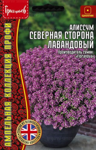 Алиссум Северная Сторона Лавандовый ампельный