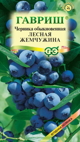 Черника Лесная жемчужина 
