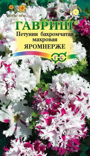 Петуния Яромнерже (Фриллитуния )  