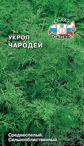 Укроп Чародей 