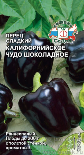 Перец Калифорнийское чудо шоколадное 