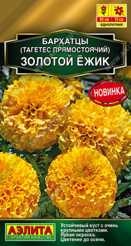 Бархатцы Золотой ёжик прямостоячие Золотая серия