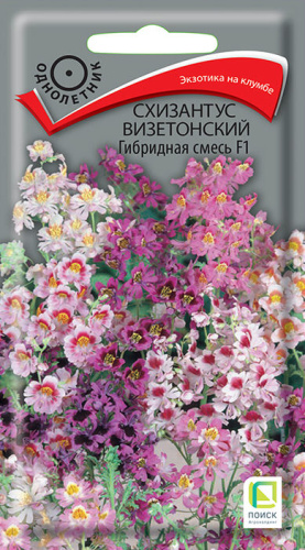 Схизантус визетонский Гибридная смесь F1