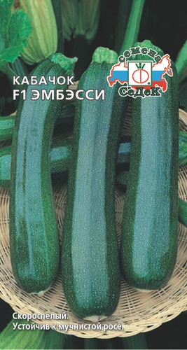 Кабачок Эмбесси