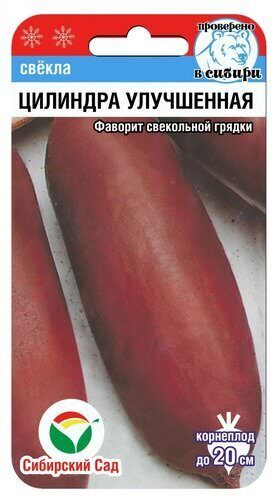 Свекла Цилиндра улучшенная 