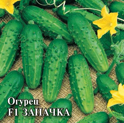 Огурец Заначка  F1 100шт