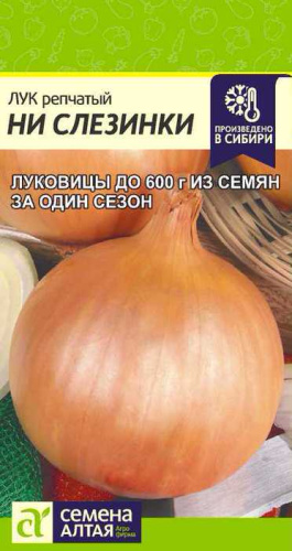 Лук (репчатый) Ни Слизинки 