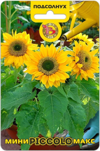 Подсолнух Мини-Макс F1 Пикколо карликовый