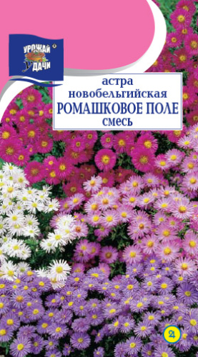 Астра Смесь Новобельгийская Ромашковое поле