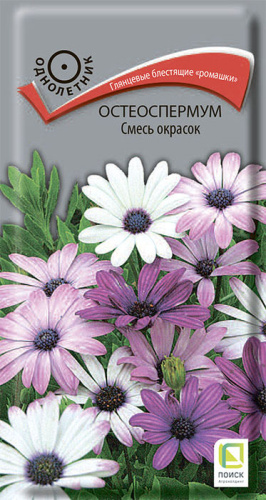Остеоспермум, смесь 