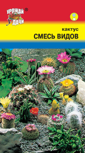 Кактус Смесь видов