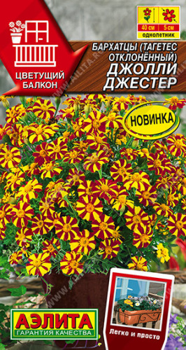 Бархатцы Джолли Джестер отклоненные