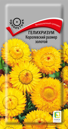 Гелихризум Королевский размер золотой 