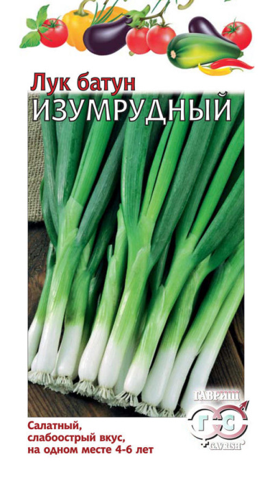 Лук Изумрудный/500, батун