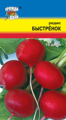 Редис Быстренок 16 дней