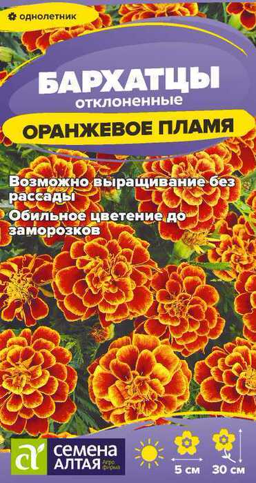 Бархатцы Оранжевое пламя