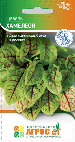 Щавель Хамелеон  с красными прожилками