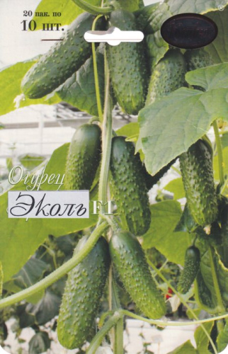 Огурец Эколь 10шт/1шт