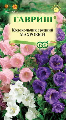 Колокольчик Махровый средний 