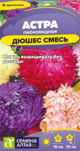 Астра Дюшес Смесь пионовидная