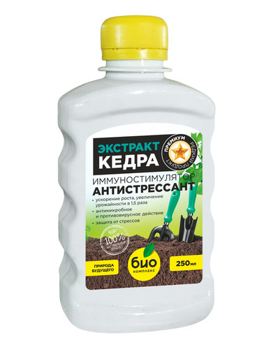 ЭКСТРАКТ КЕДРА 0,25л/32