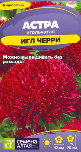 Астра игл Черри