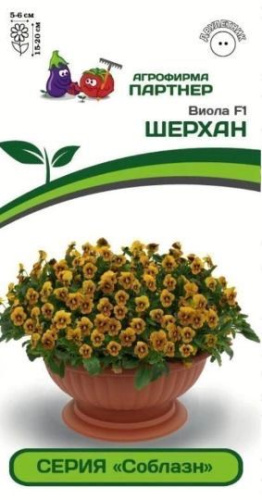 Виола Соблазн F1 ШЕРХАН 
