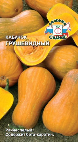 Кабачок Грушевидный 