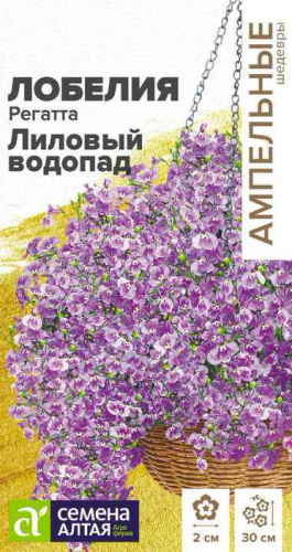 Лобелия Регатта Лиловый Водопад ампельная