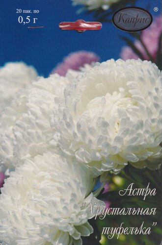 Астра Хрустальная туфелька/1шт