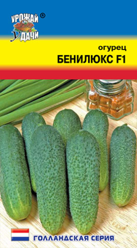 Огурец Бенилюкс F1