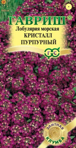 Лобулярия Кристалл Пурпурный 