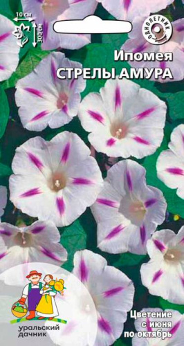 Ипомея Стрелы Амура (УД) 