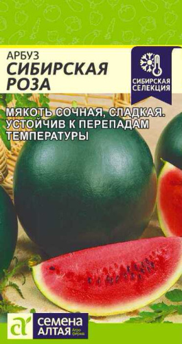 Арбуз Сибирская Роза 