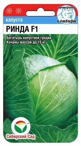 Капуста Ринда 